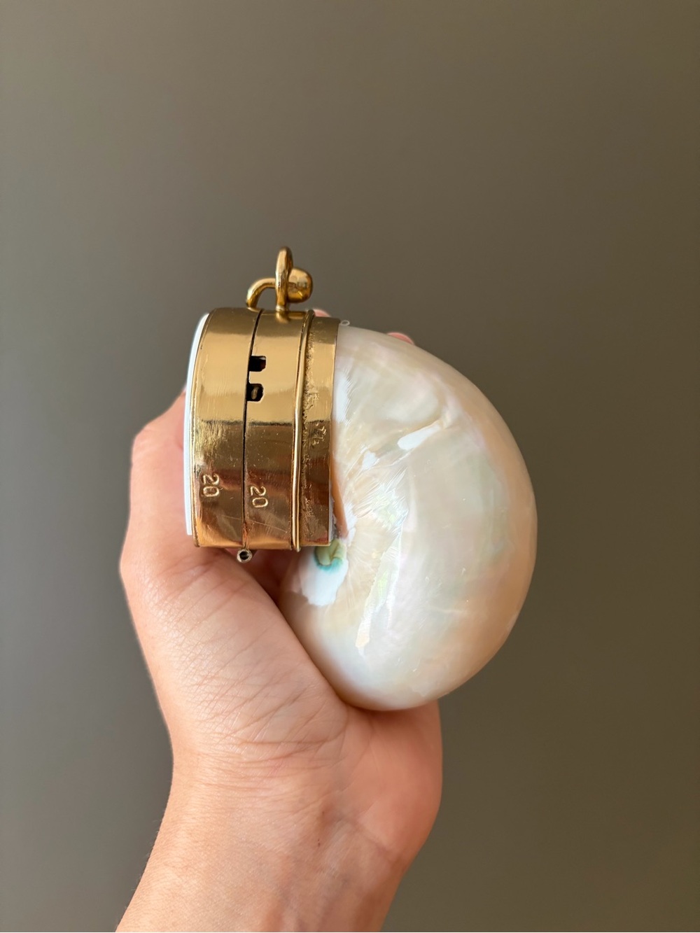 Gold and Cream Shell Clutch - Picture 14 of 16